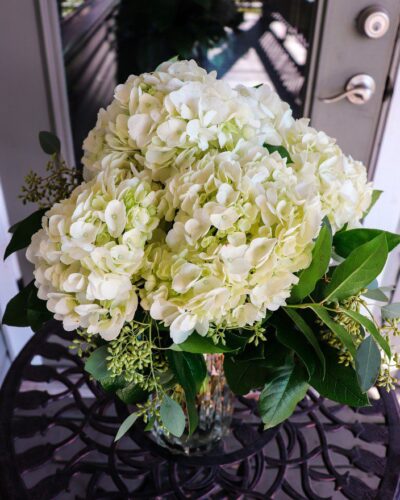 Hello Hydrangea flower arrangement with seeded eucalyptus and mixed greens in a clear glass cylinder vase.