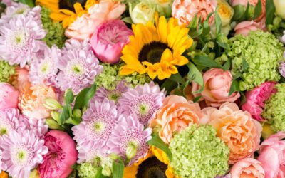 5 Easy Fresh Flower Care Tips: How to Take Care of Fresh Flowers