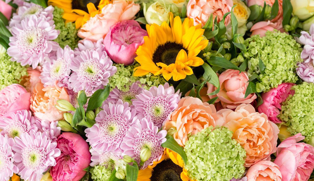 a bright mix of flowers that have been cared for following Lakeside Florist's fresh flower care tips.