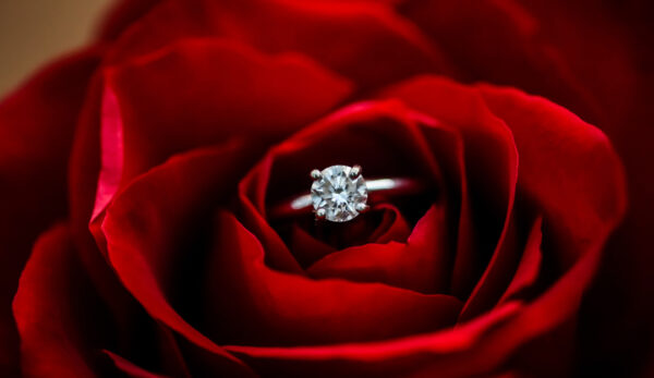 unforgettable proposal 2 ring in flowers