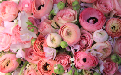 Ranunculus: Why They Deserve a Starring Role in Your Wedding Flowers