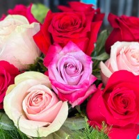 Mixed Color Roses